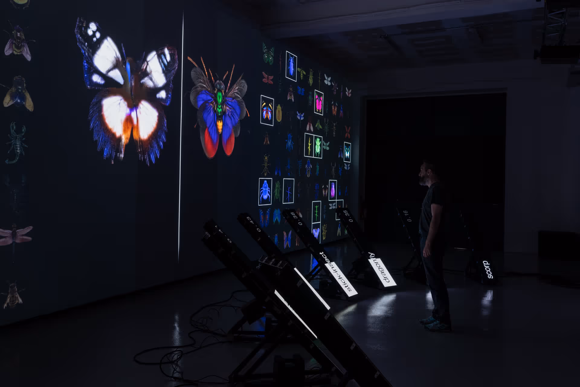 Data Bugs Installation View 2