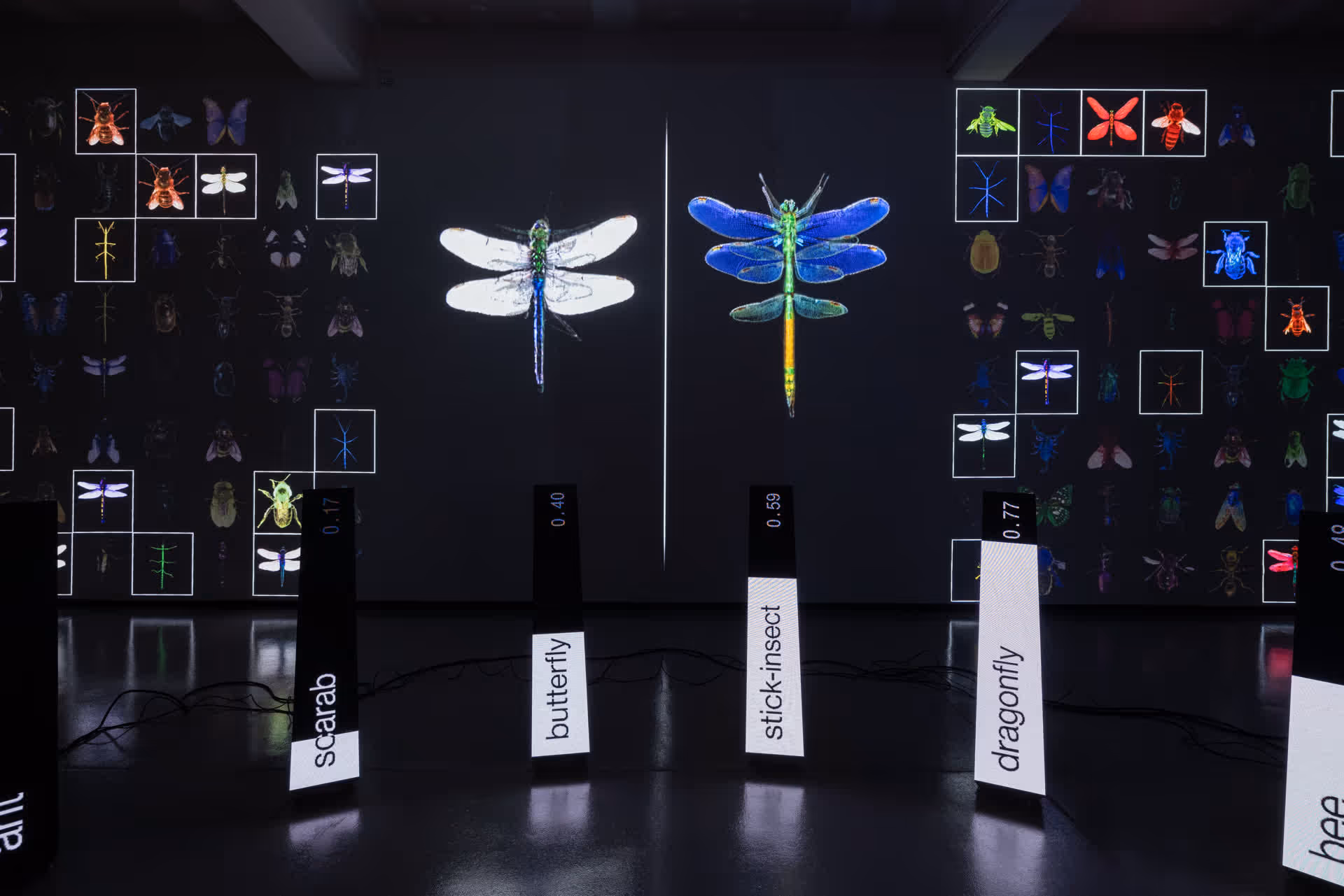Data Bugs Installation View 1